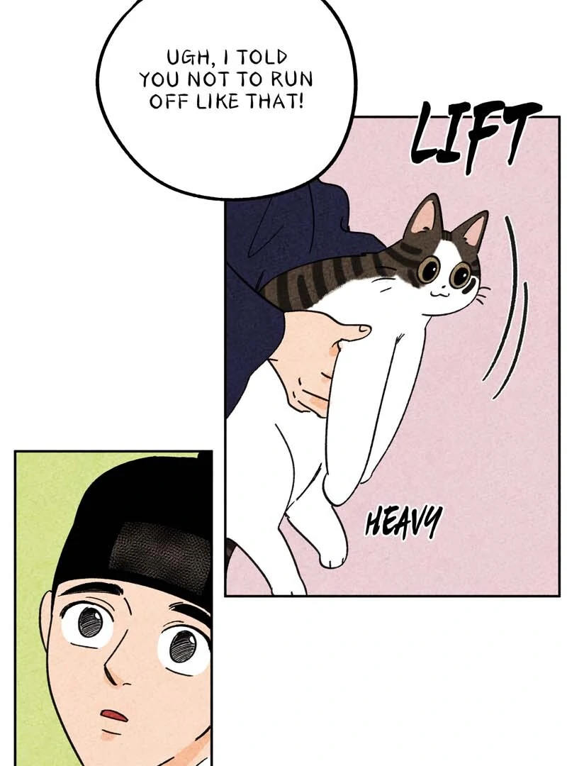 The Tale Of Goldiluck, The Black Kitten Chapter 102 - page 87