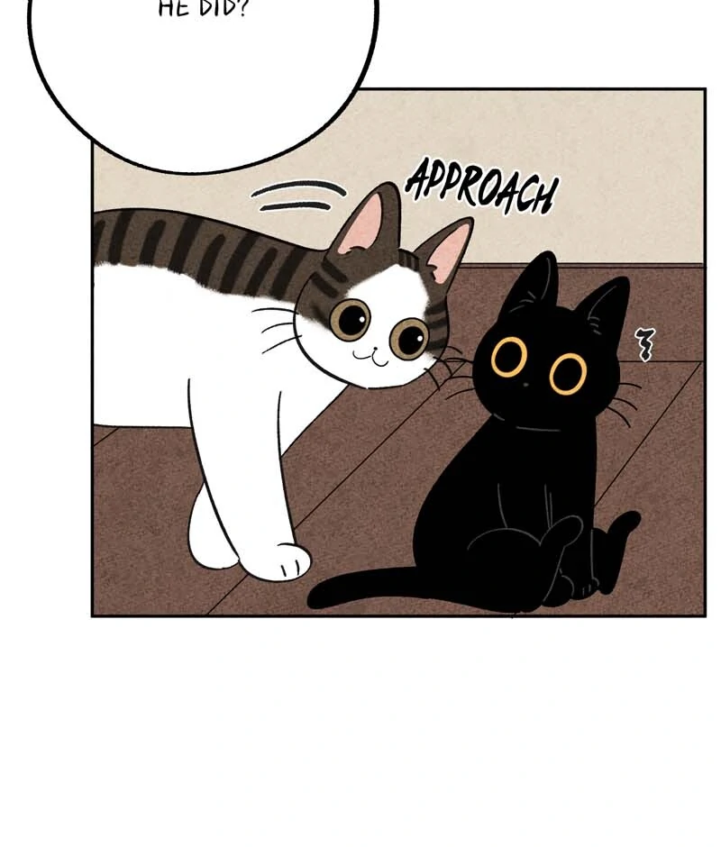 The Tale Of Goldiluck, The Black Kitten Chapter 103 - page 13
