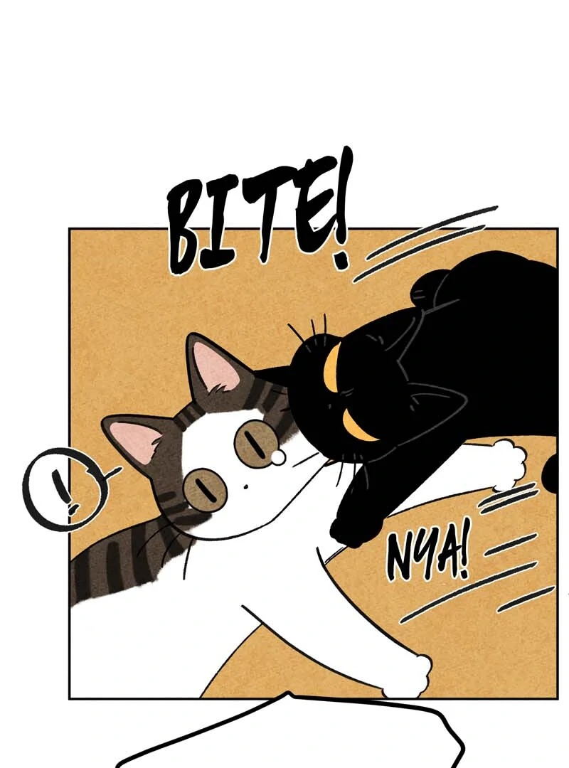The Tale Of Goldiluck, The Black Kitten Chapter 103 - page 16