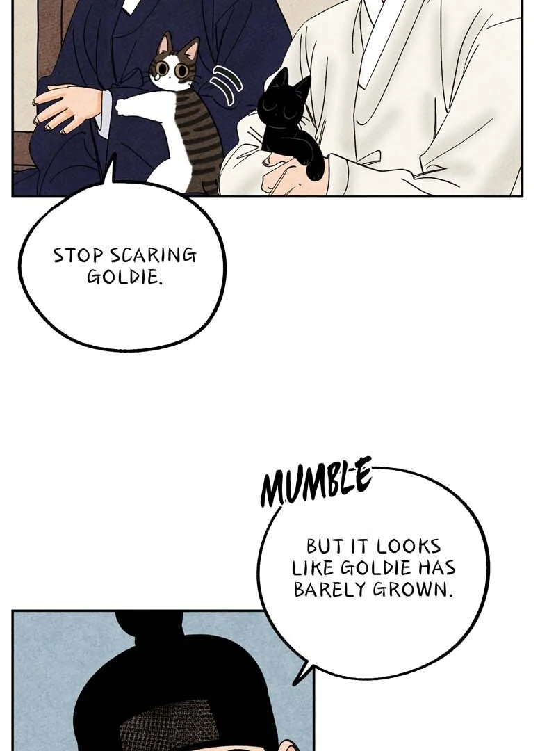 The Tale Of Goldiluck, The Black Kitten Chapter 103 - page 18