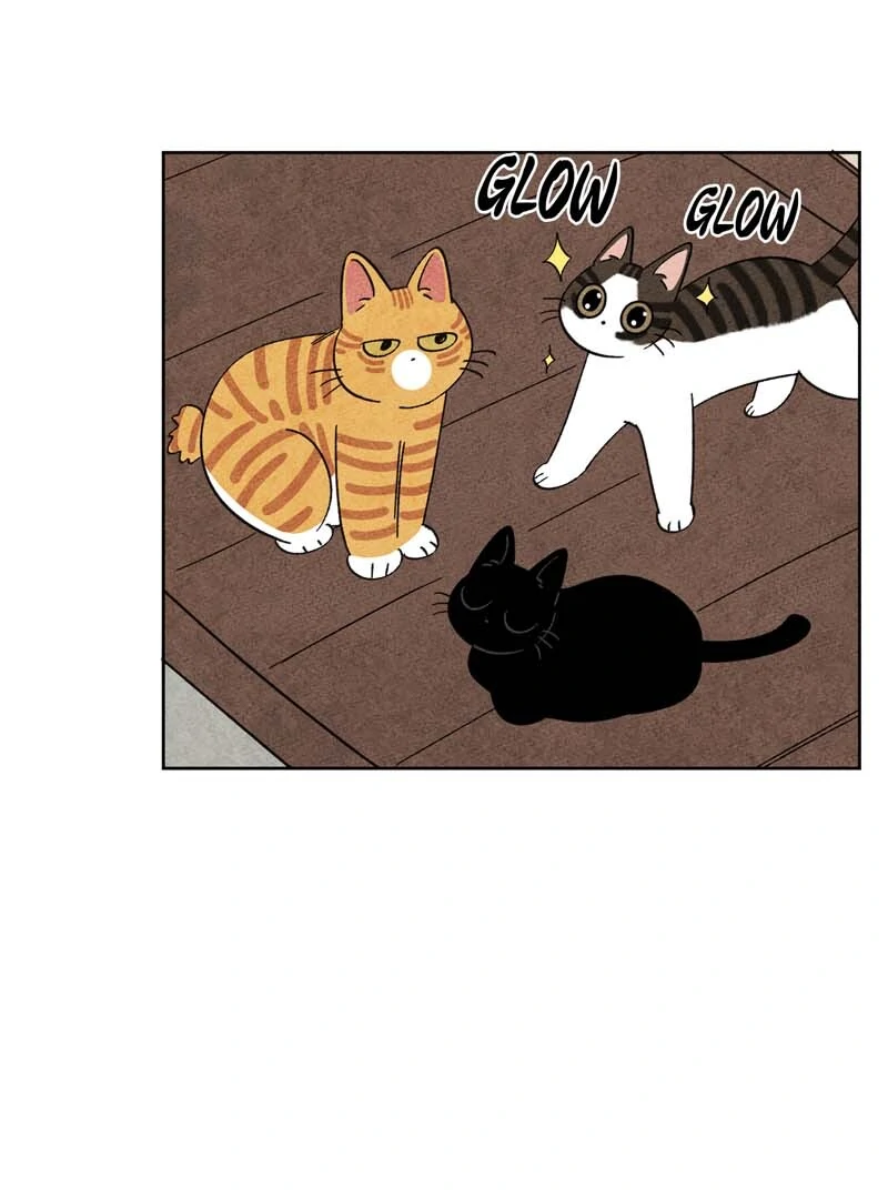 The Tale Of Goldiluck, The Black Kitten Chapter 103 - page 35
