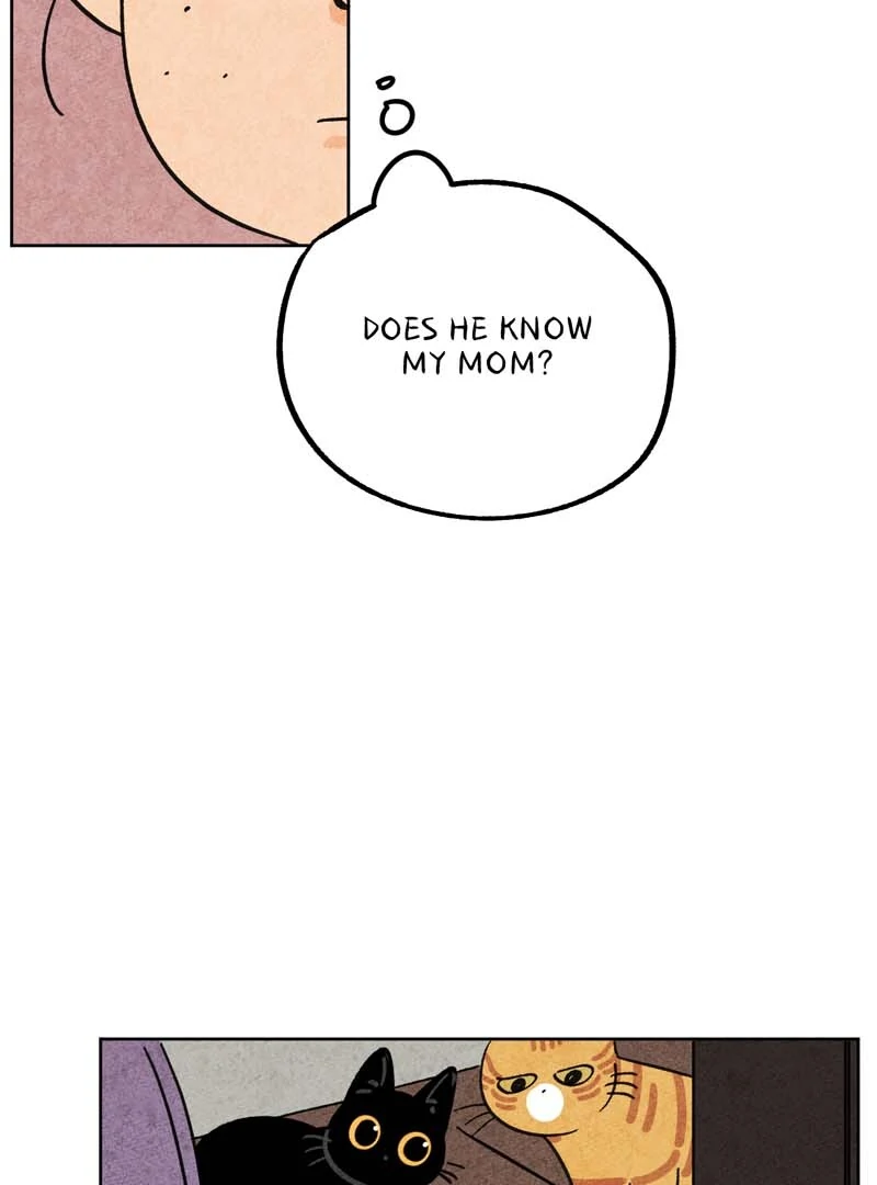 The Tale Of Goldiluck, The Black Kitten Chapter 103 - page 37