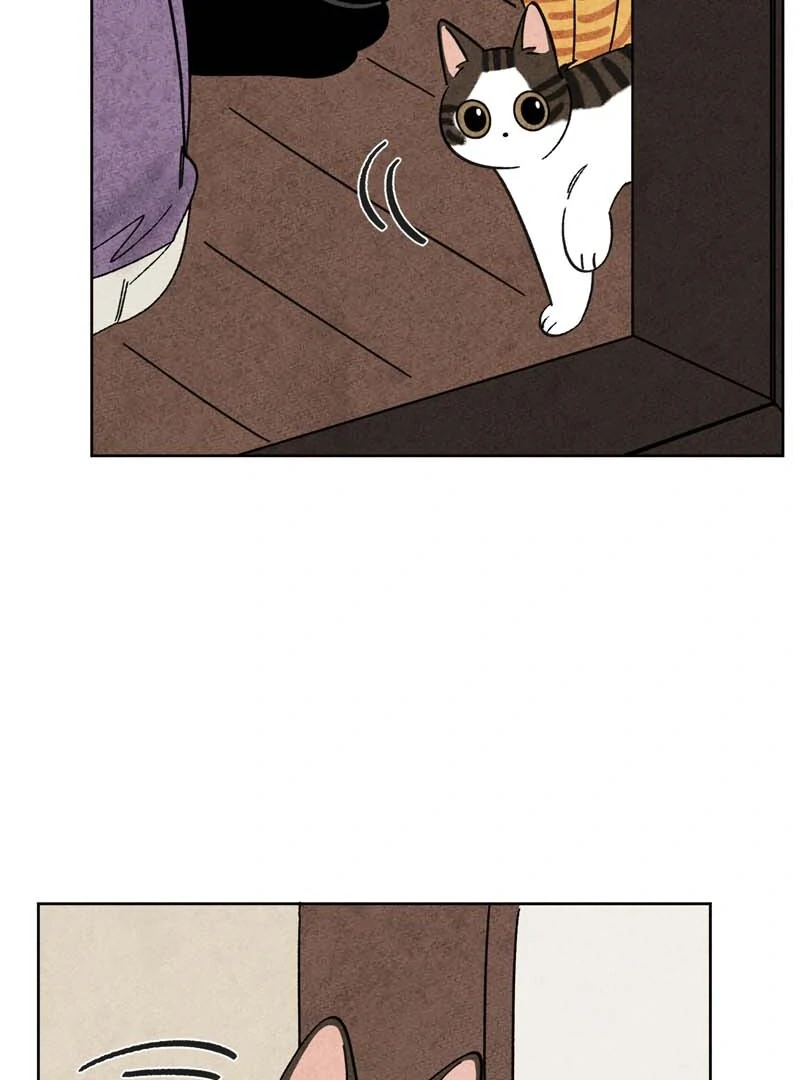 The Tale Of Goldiluck, The Black Kitten Chapter 103 - page 38
