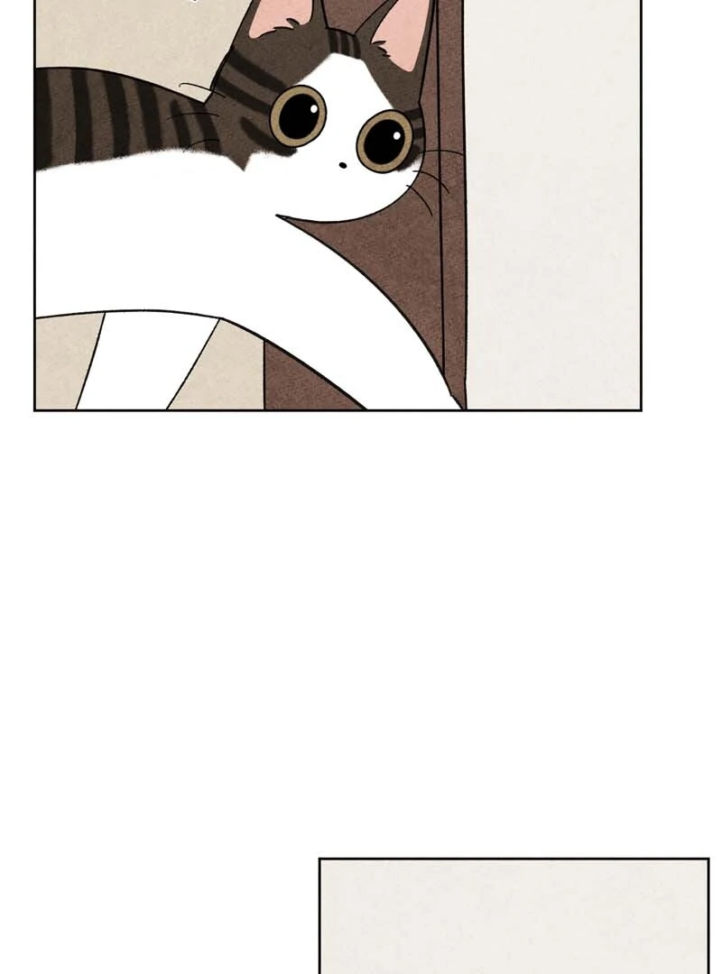 The Tale Of Goldiluck, The Black Kitten Chapter 103 - page 39