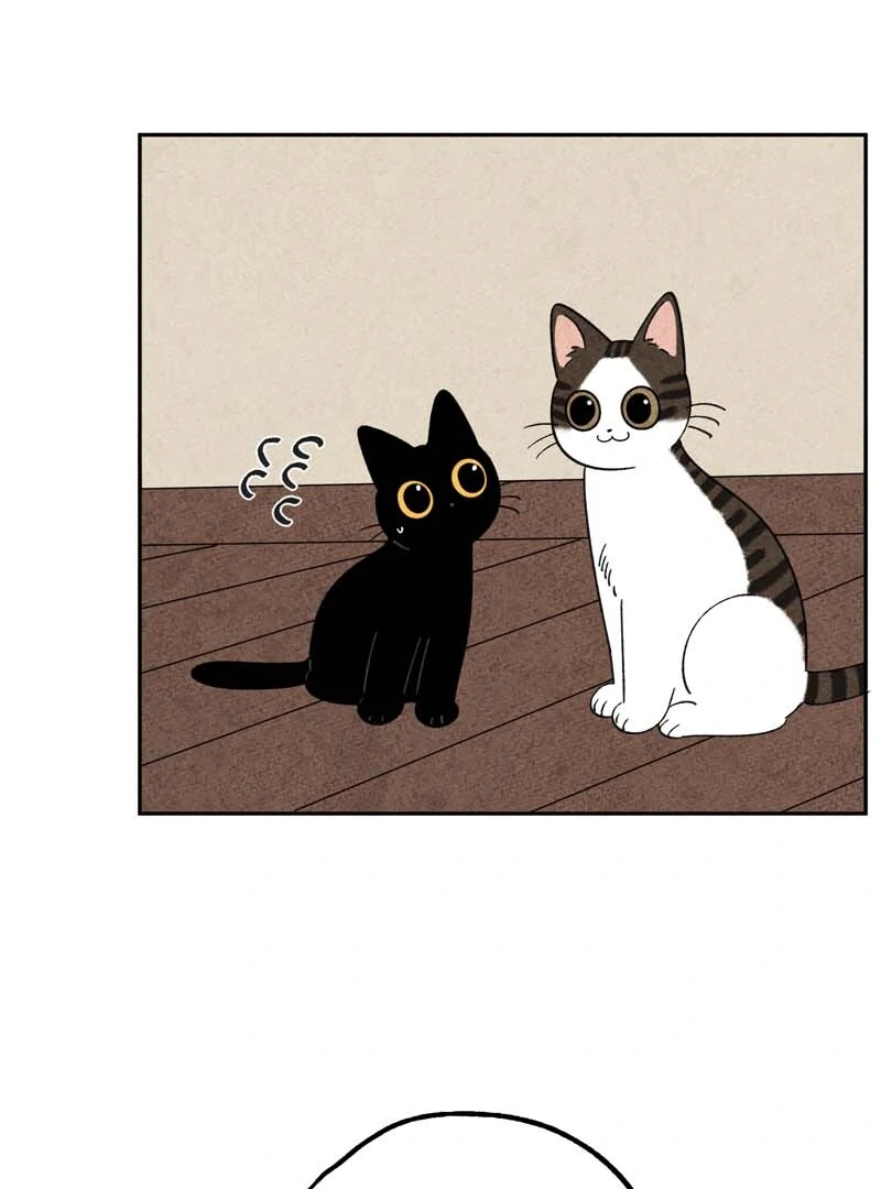 The Tale Of Goldiluck, The Black Kitten Chapter 103 - page 6