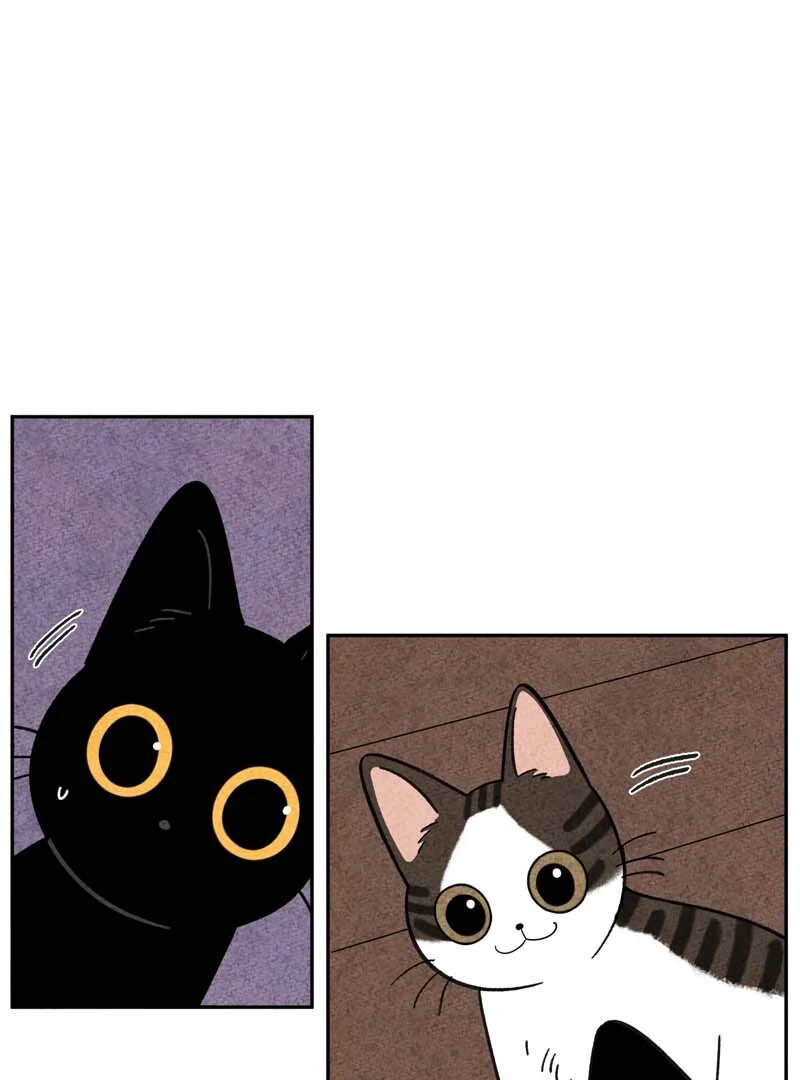 The Tale Of Goldiluck, The Black Kitten Chapter 103 - page 9