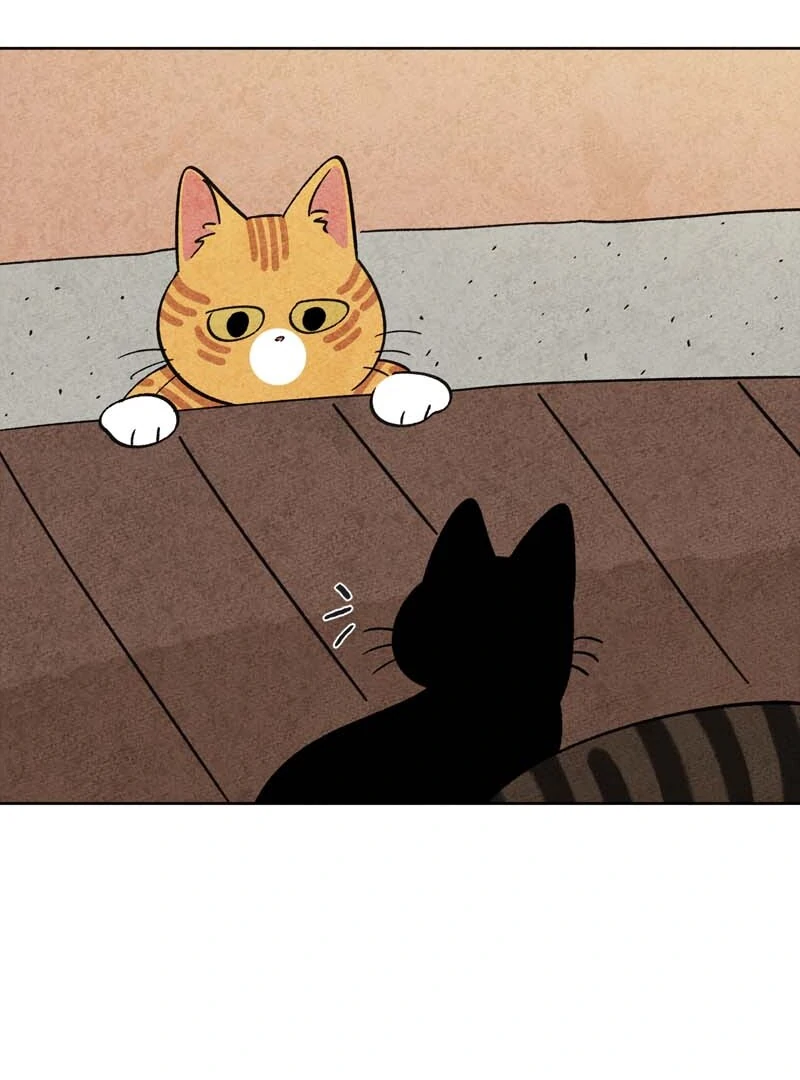 The Tale Of Goldiluck, The Black Kitten Chapter 104 - page 10