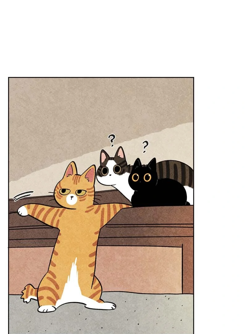 The Tale Of Goldiluck, The Black Kitten Chapter 104 - page 11