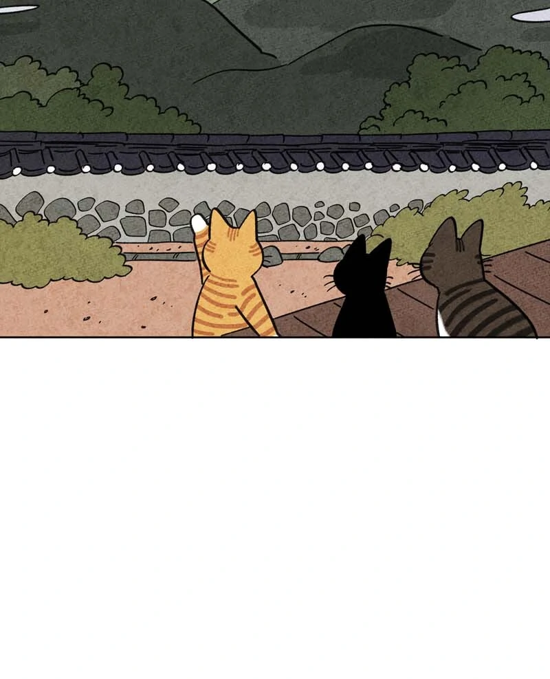 The Tale Of Goldiluck, The Black Kitten Chapter 104 - page 13
