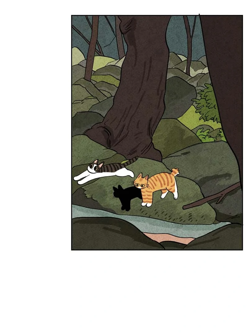 The Tale Of Goldiluck, The Black Kitten Chapter 104 - page 17