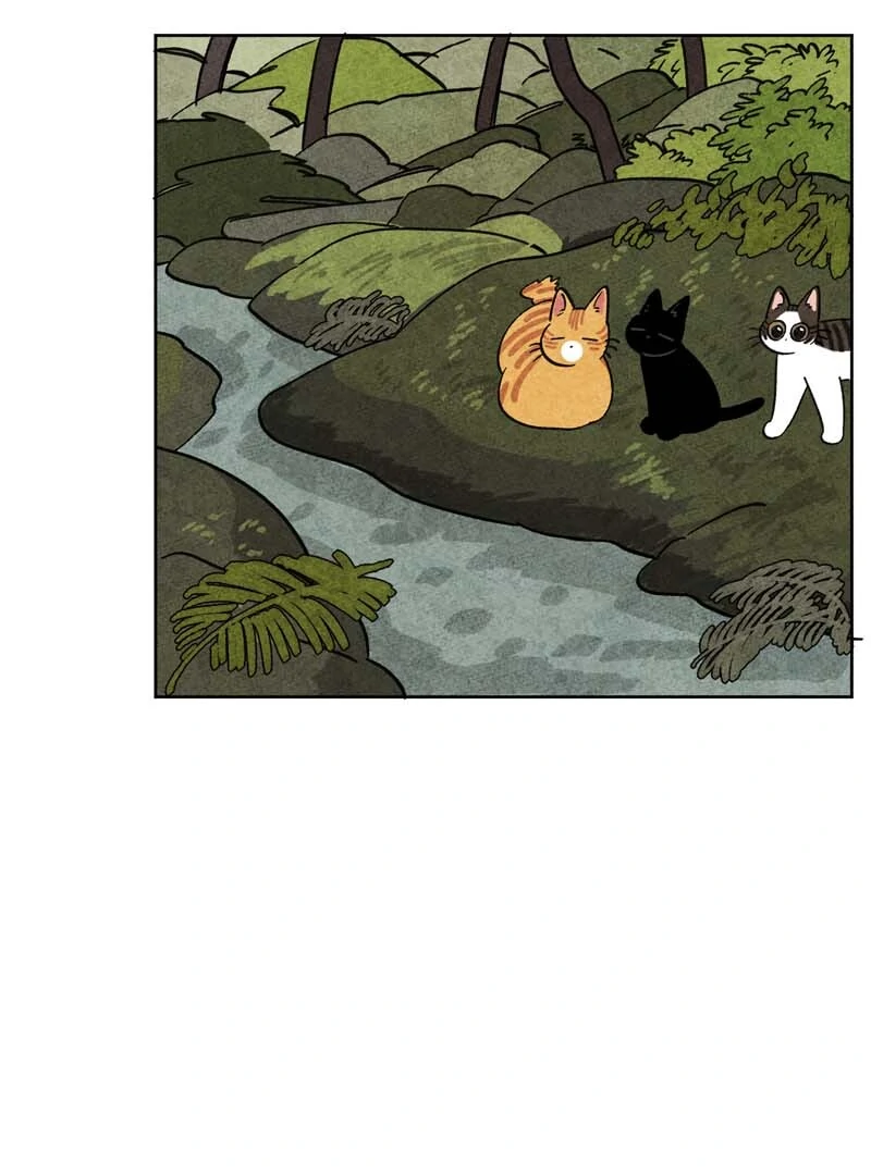 The Tale Of Goldiluck, The Black Kitten Chapter 104 - page 19