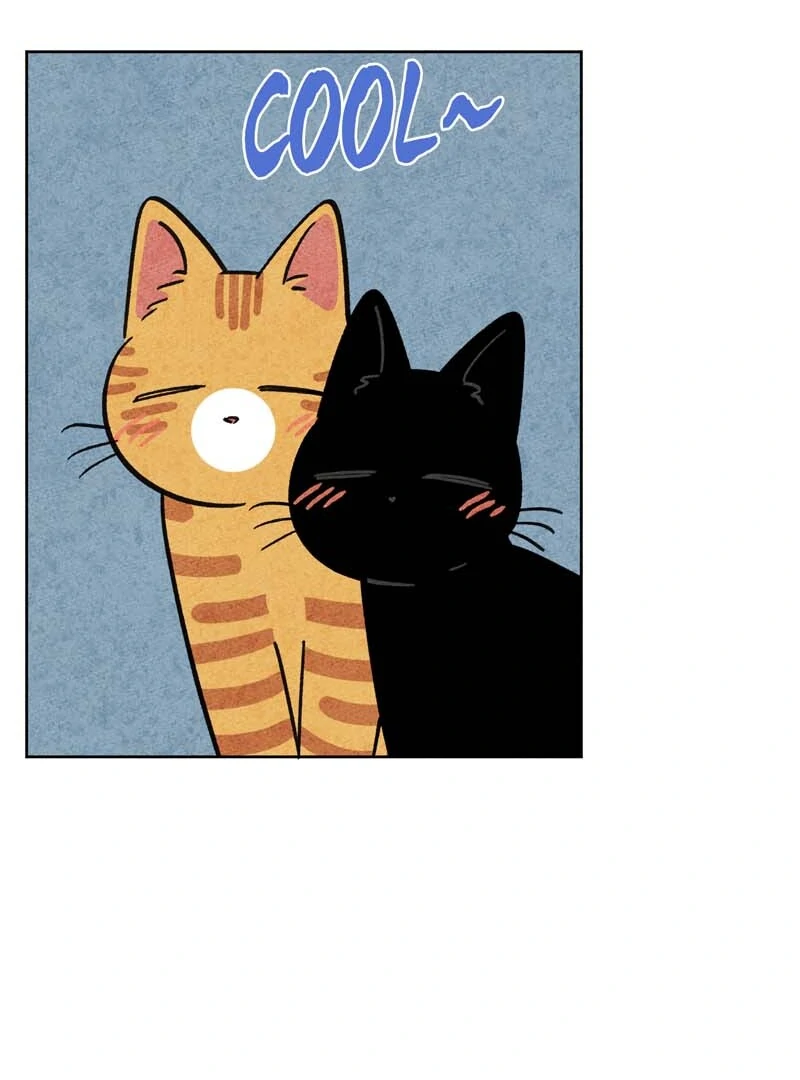 The Tale Of Goldiluck, The Black Kitten Chapter 104 - page 20