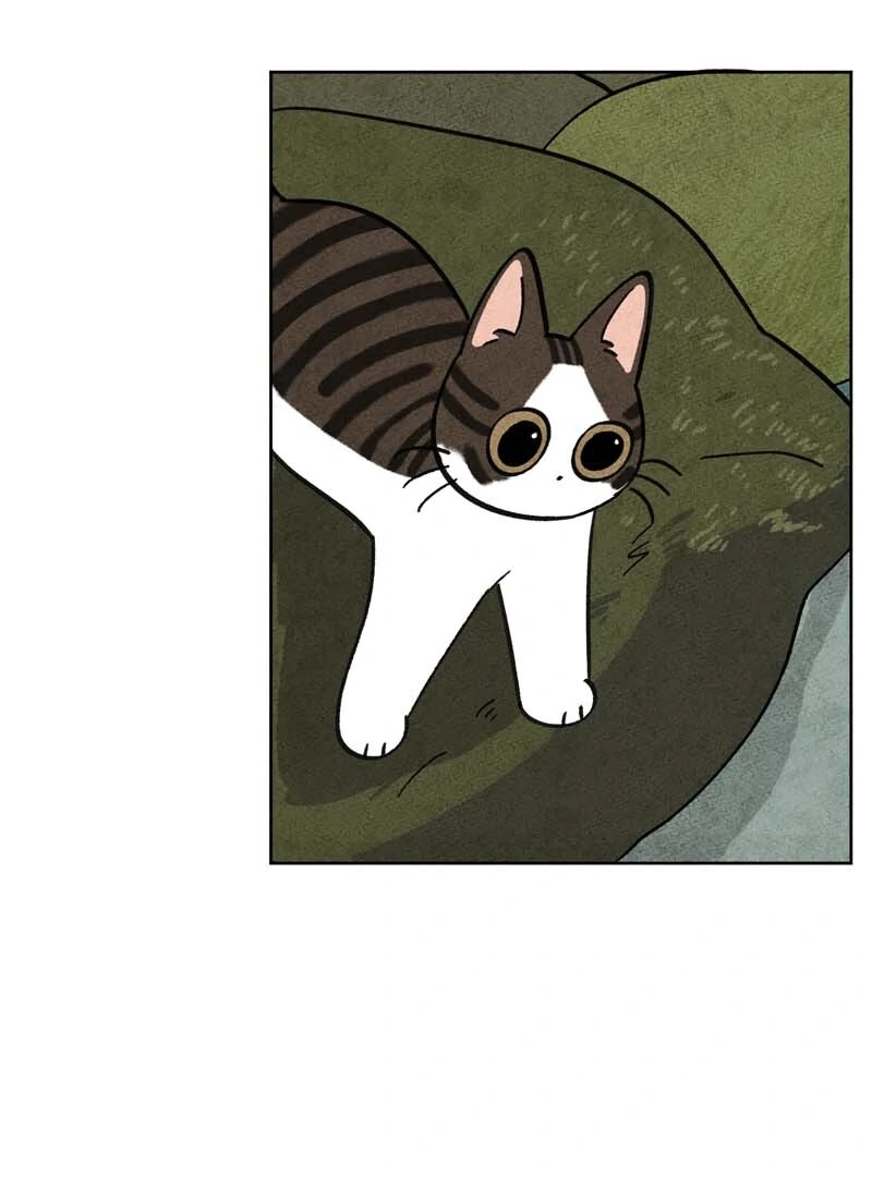 The Tale Of Goldiluck, The Black Kitten Chapter 104 - page 21