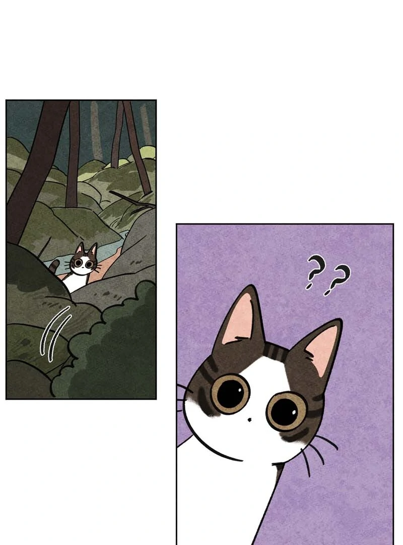 The Tale Of Goldiluck, The Black Kitten Chapter 104 - page 22