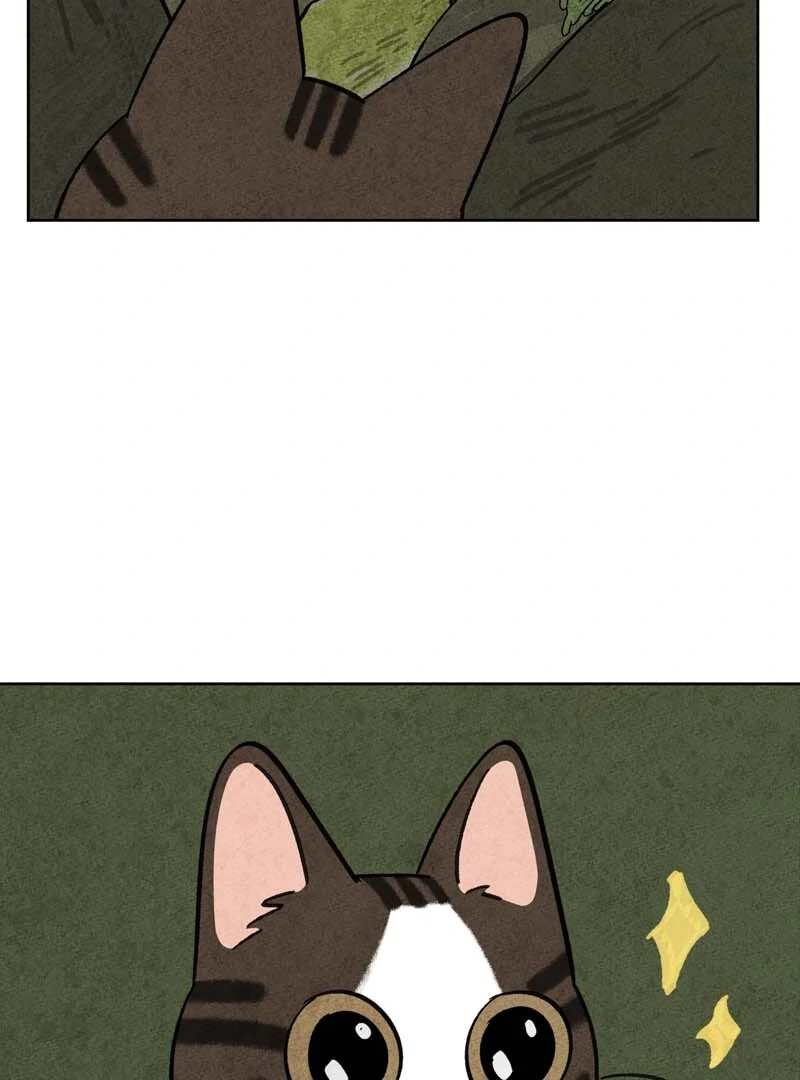 The Tale Of Goldiluck, The Black Kitten Chapter 104 - page 24
