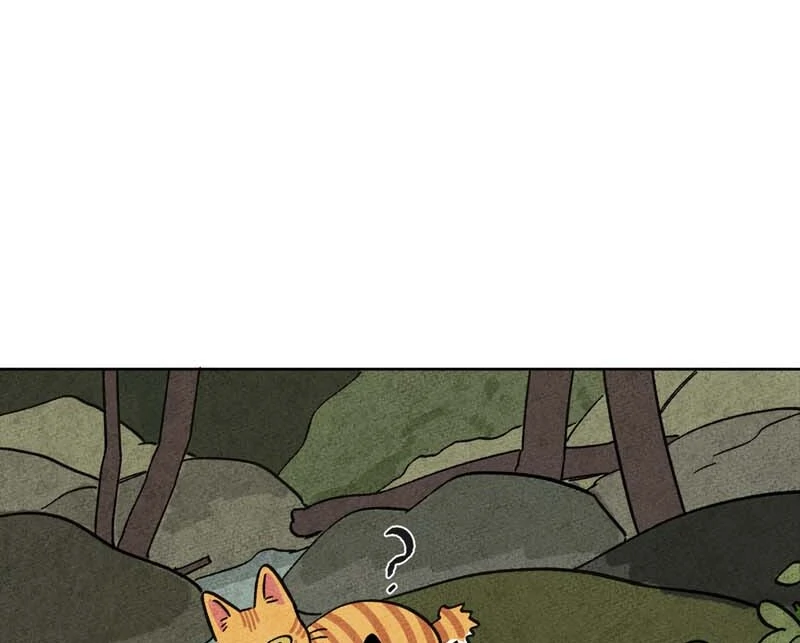 The Tale Of Goldiluck, The Black Kitten Chapter 104 - page 28