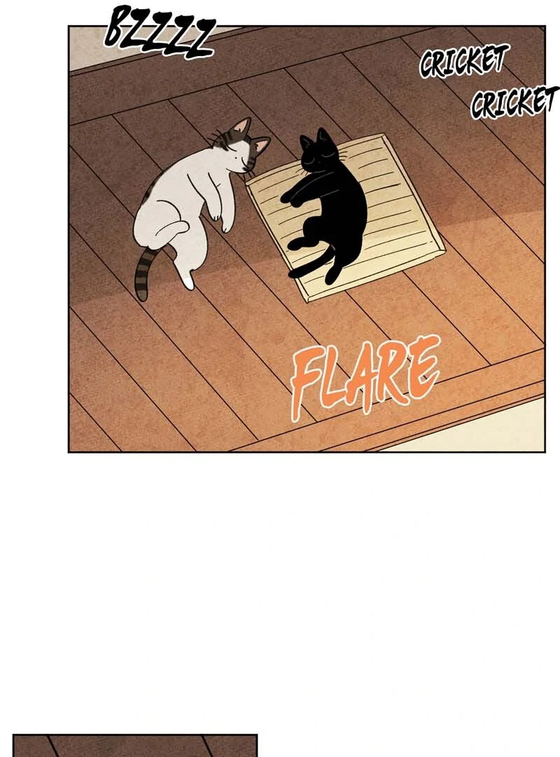 The Tale Of Goldiluck, The Black Kitten Chapter 104 - page 3
