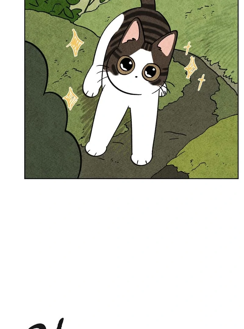 The Tale Of Goldiluck, The Black Kitten Chapter 104 - page 38