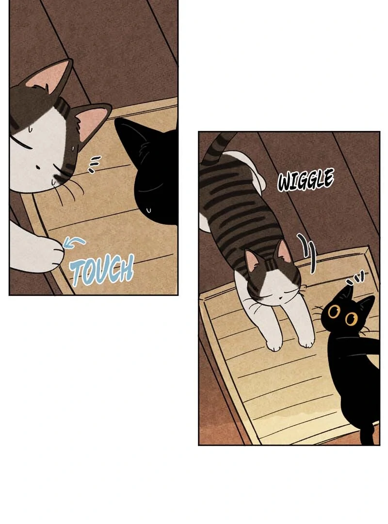 The Tale Of Goldiluck, The Black Kitten Chapter 104 - page 4