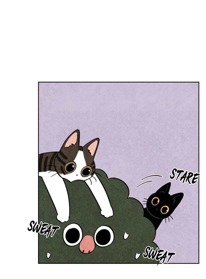 The Tale Of Goldiluck, The Black Kitten Chapter 104 - page 44