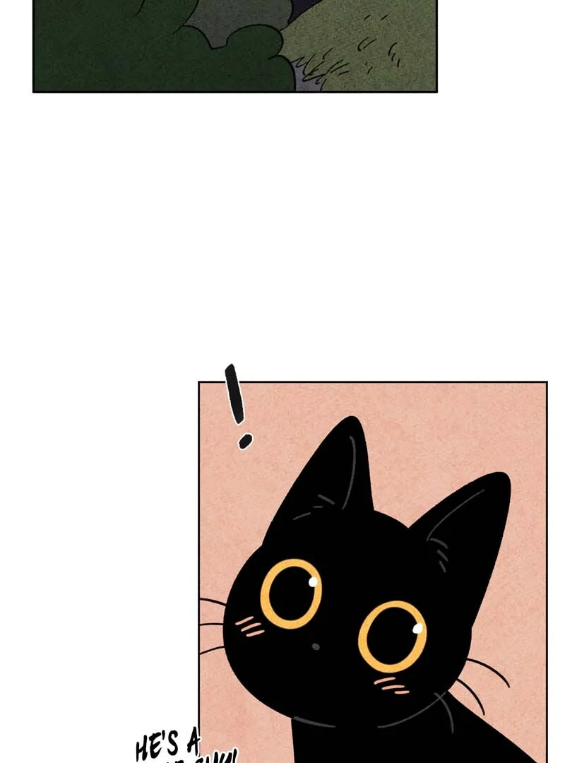 The Tale Of Goldiluck, The Black Kitten Chapter 104 - page 46