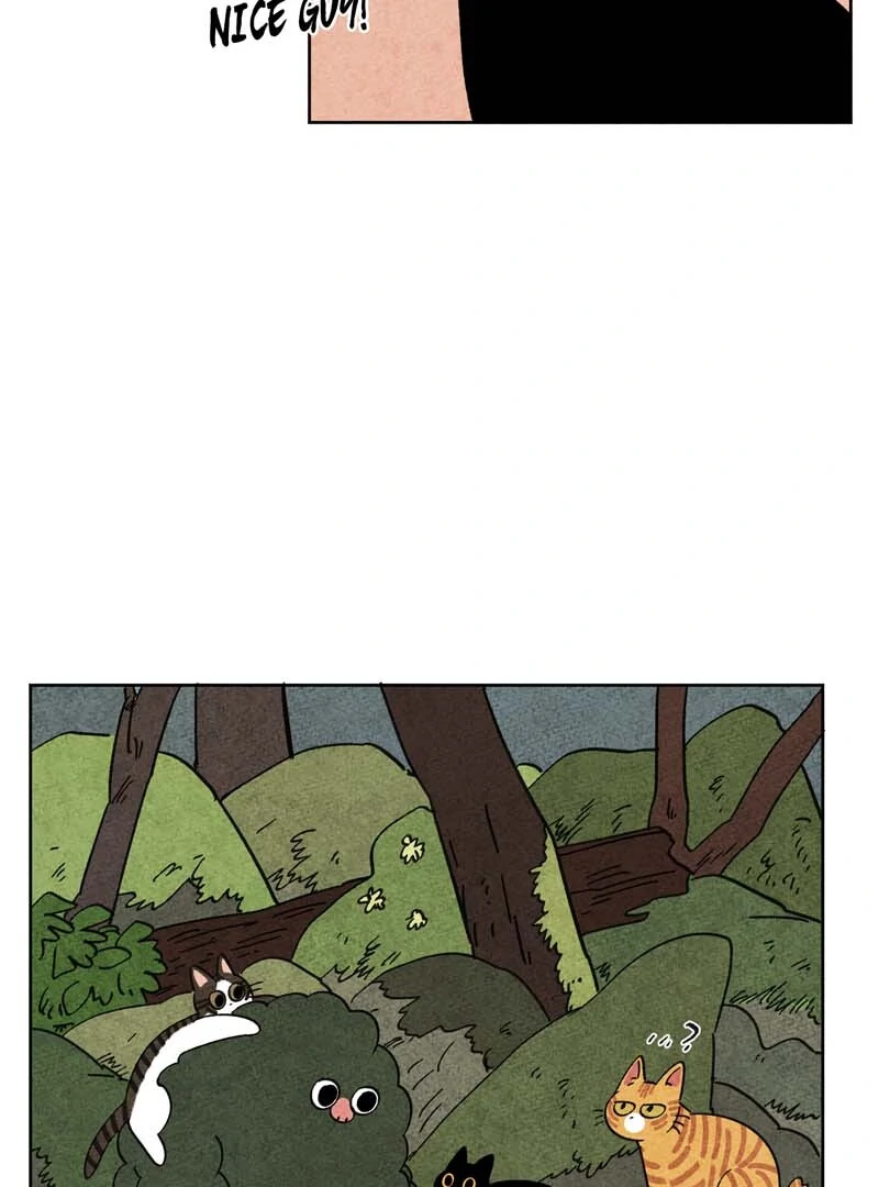 The Tale Of Goldiluck, The Black Kitten Chapter 104 - page 47