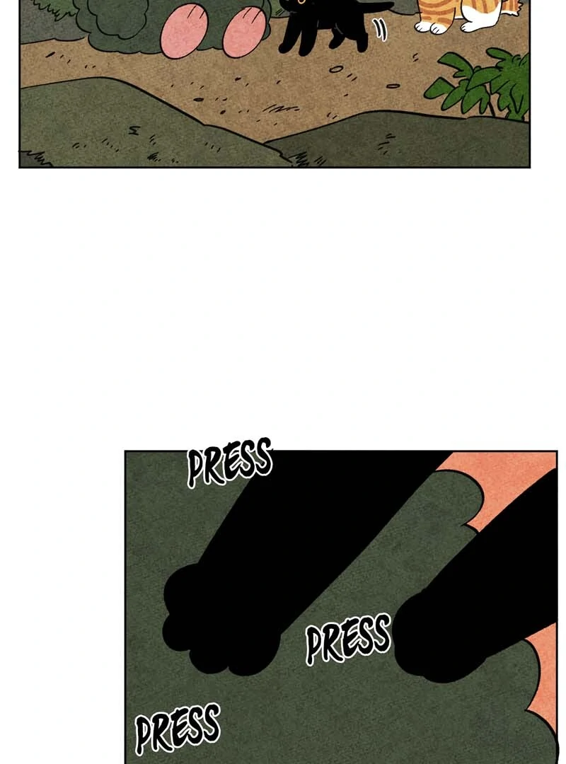 The Tale Of Goldiluck, The Black Kitten Chapter 104 - page 48