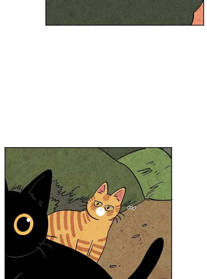 The Tale Of Goldiluck, The Black Kitten Chapter 104 - page 49