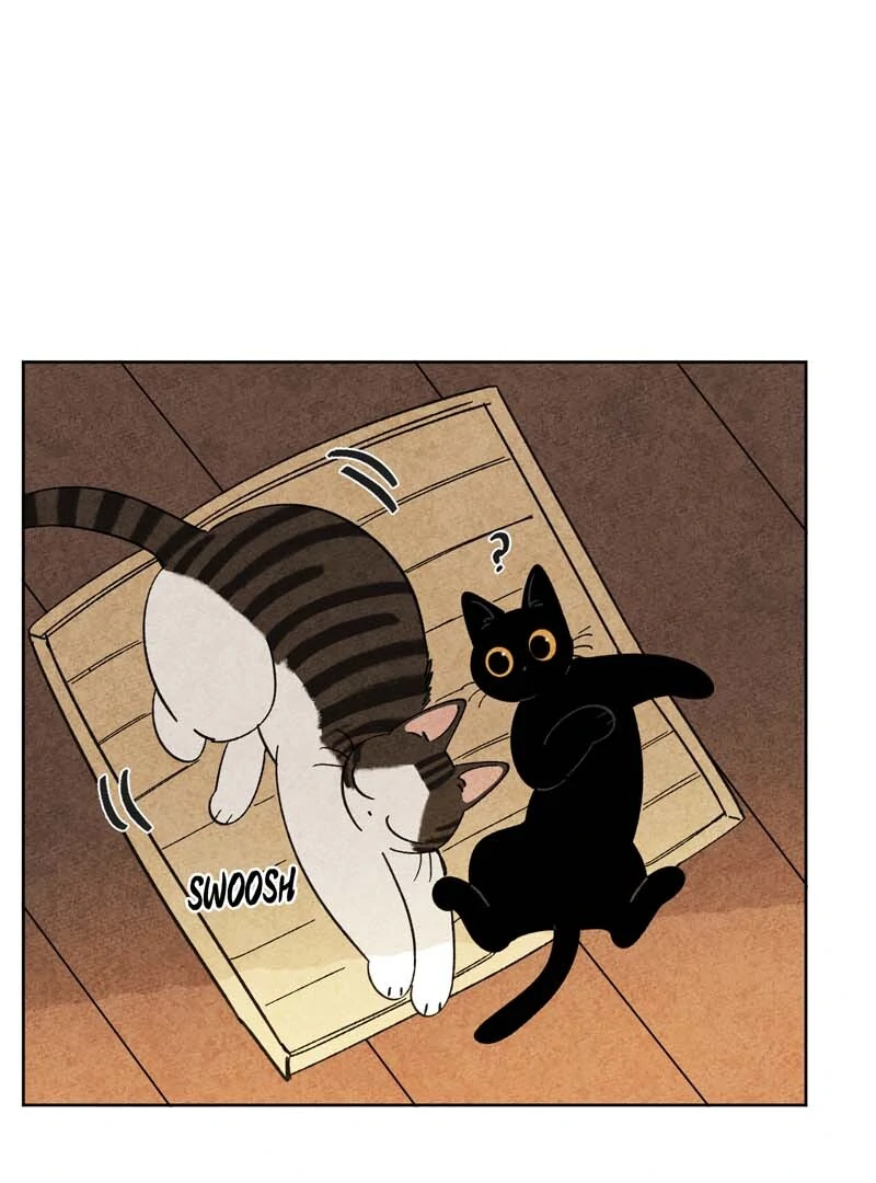 The Tale Of Goldiluck, The Black Kitten Chapter 104 - page 5
