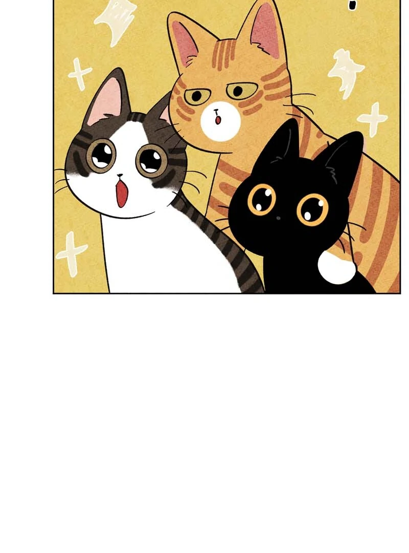 The Tale Of Goldiluck, The Black Kitten Chapter 104 - page 53