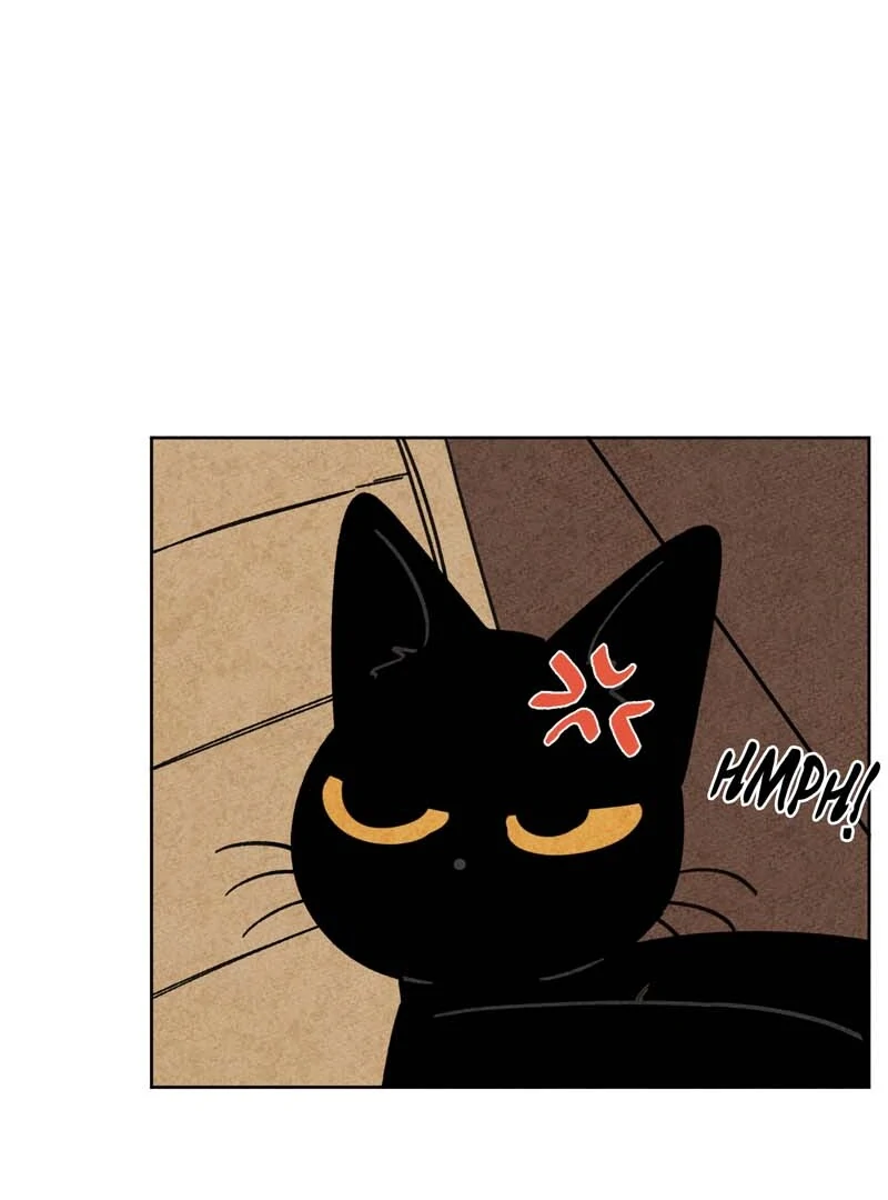The Tale Of Goldiluck, The Black Kitten Chapter 104 - page 6
