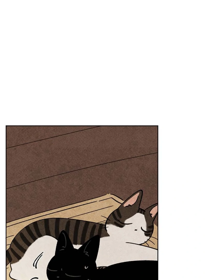 The Tale Of Goldiluck, The Black Kitten Chapter 104 - page 7