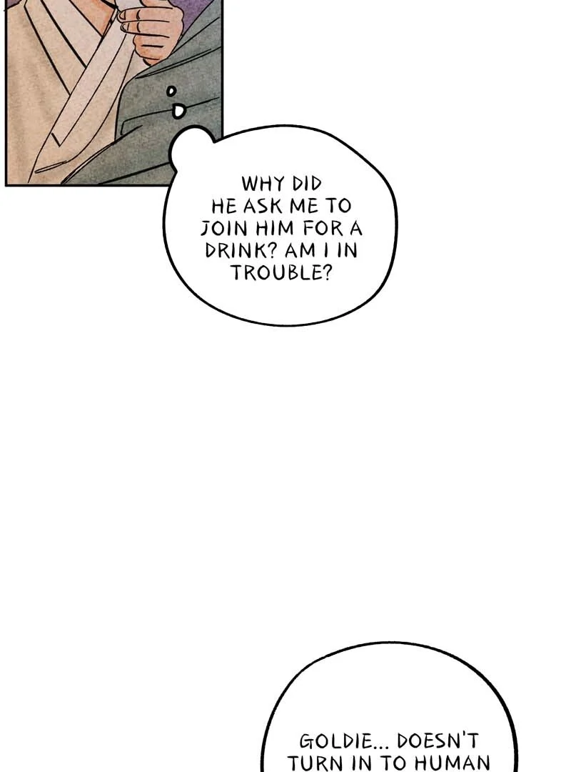 The Tale Of Goldiluck, The Black Kitten Chapter 105 - page 10