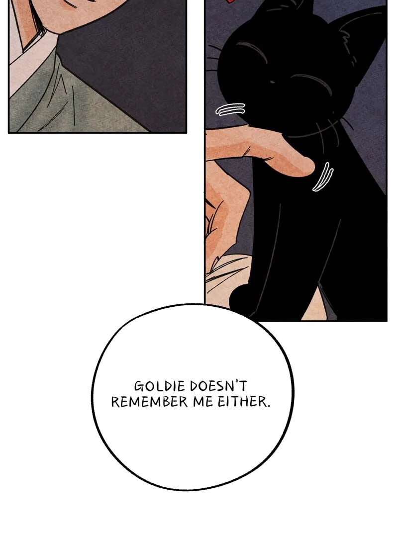 The Tale Of Goldiluck, The Black Kitten Chapter 105 - page 33