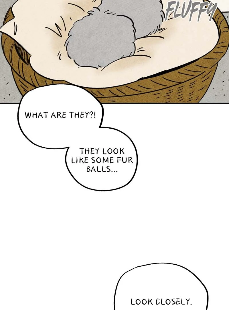 The Tale Of Goldiluck, The Black Kitten Chapter 106 - page 22