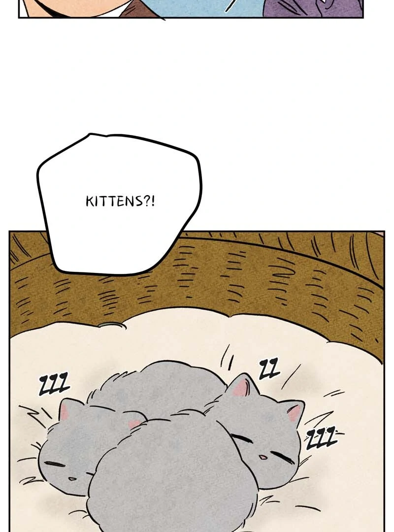 The Tale Of Goldiluck, The Black Kitten Chapter 106 - page 25