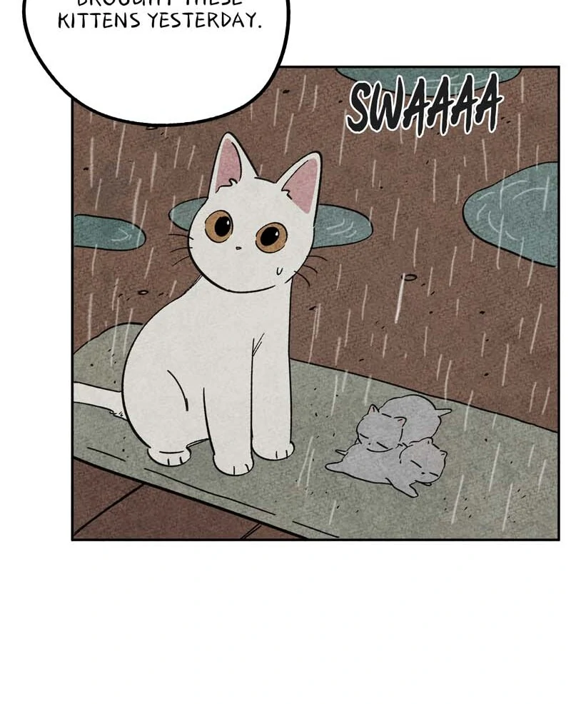 The Tale Of Goldiluck, The Black Kitten Chapter 106 - page 29