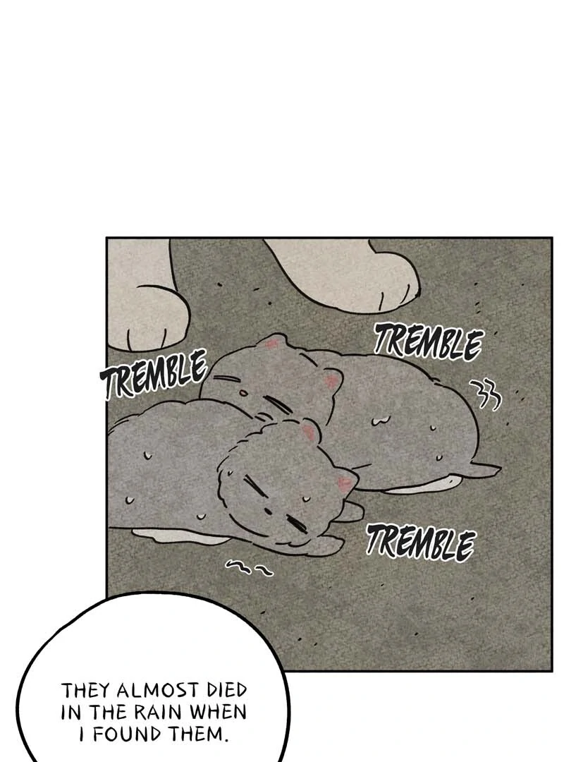 The Tale Of Goldiluck, The Black Kitten Chapter 106 - page 30