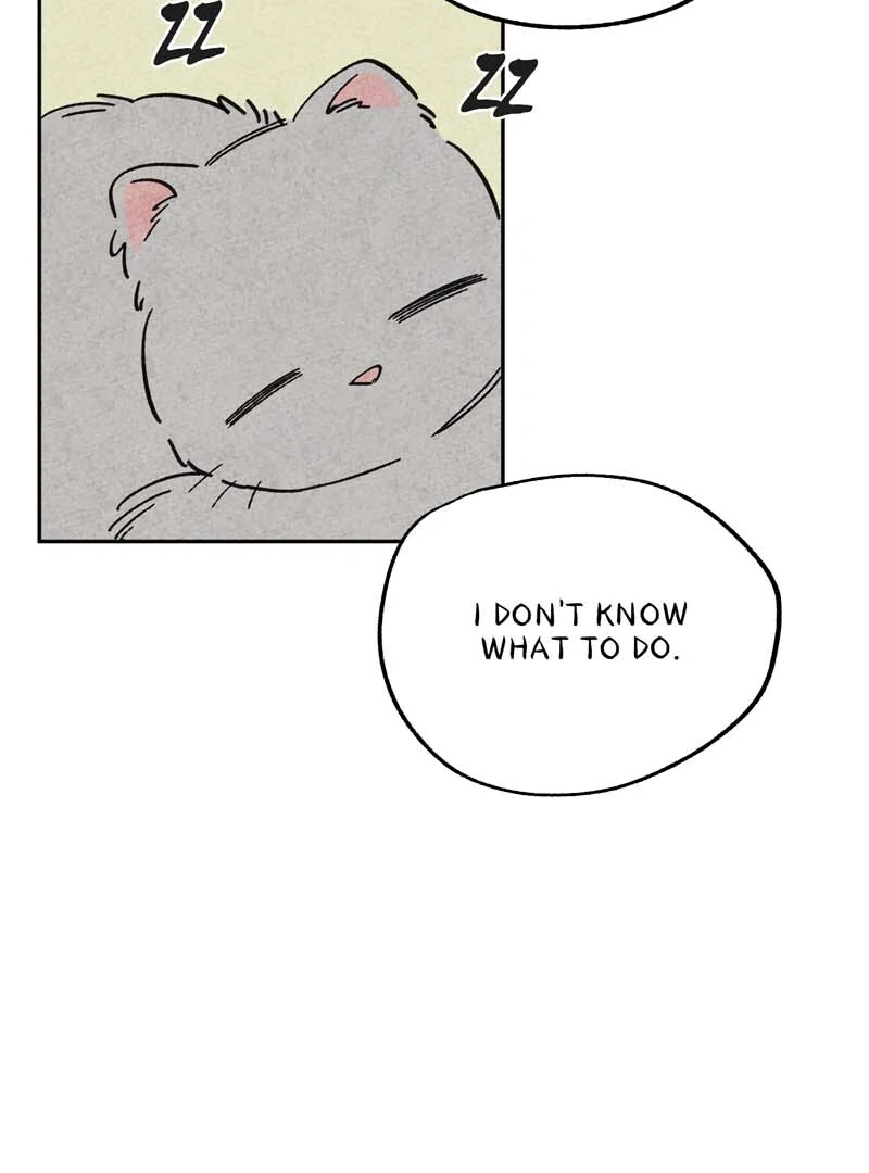 The Tale Of Goldiluck, The Black Kitten Chapter 106 - page 35