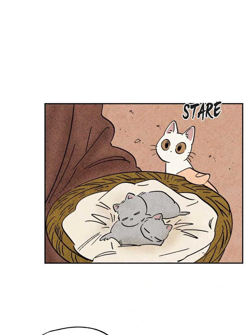 The Tale Of Goldiluck, The Black Kitten Chapter 106 - page 39