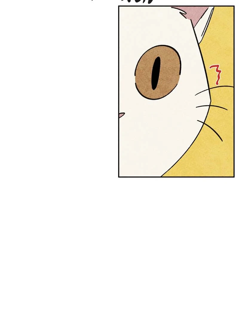 The Tale Of Goldiluck, The Black Kitten Chapter 106 - page 47
