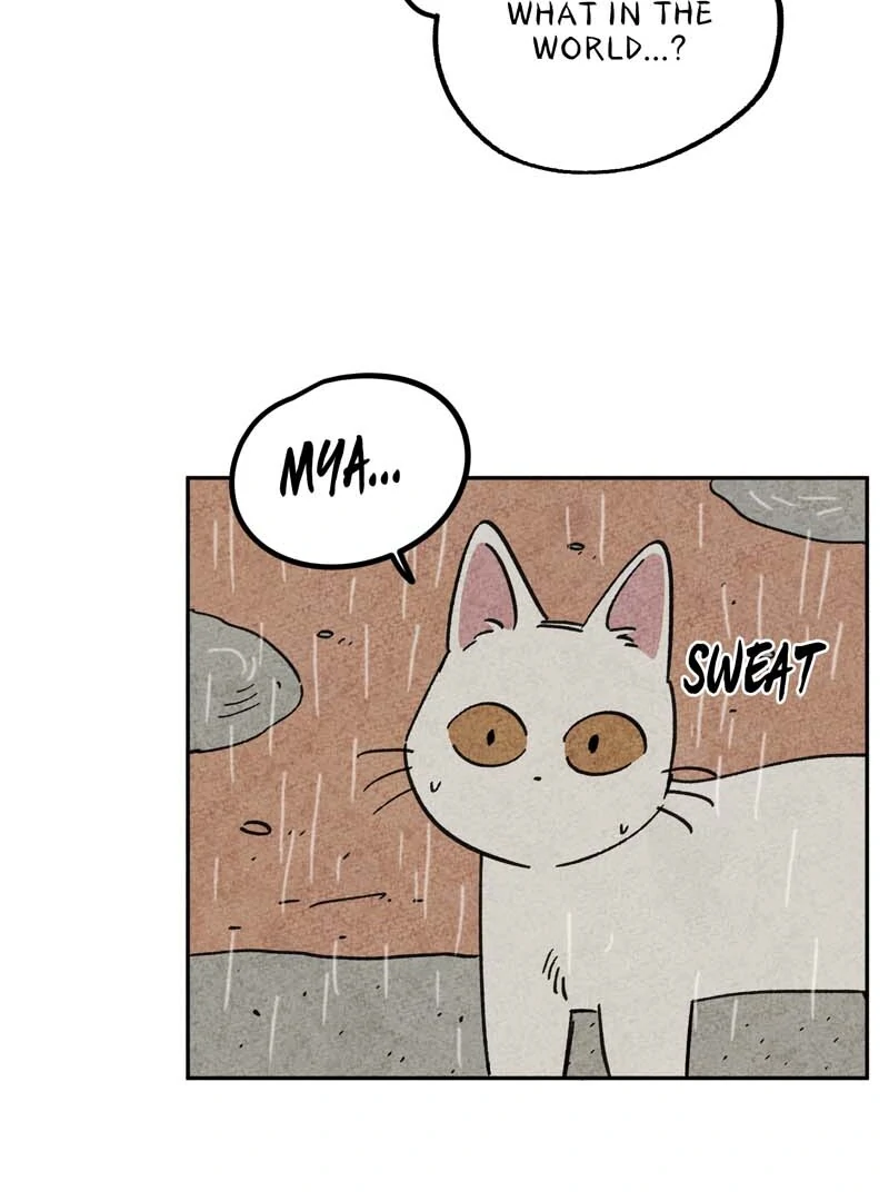 The Tale Of Goldiluck, The Black Kitten Chapter 106 - page 6
