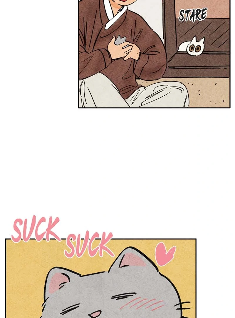 The Tale Of Goldiluck, The Black Kitten Chapter 106 - page 60