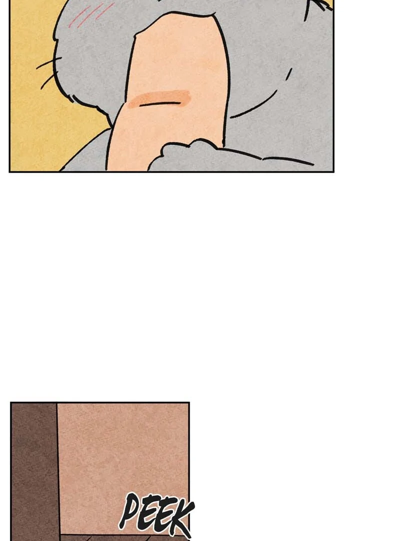 The Tale Of Goldiluck, The Black Kitten Chapter 106 - page 61