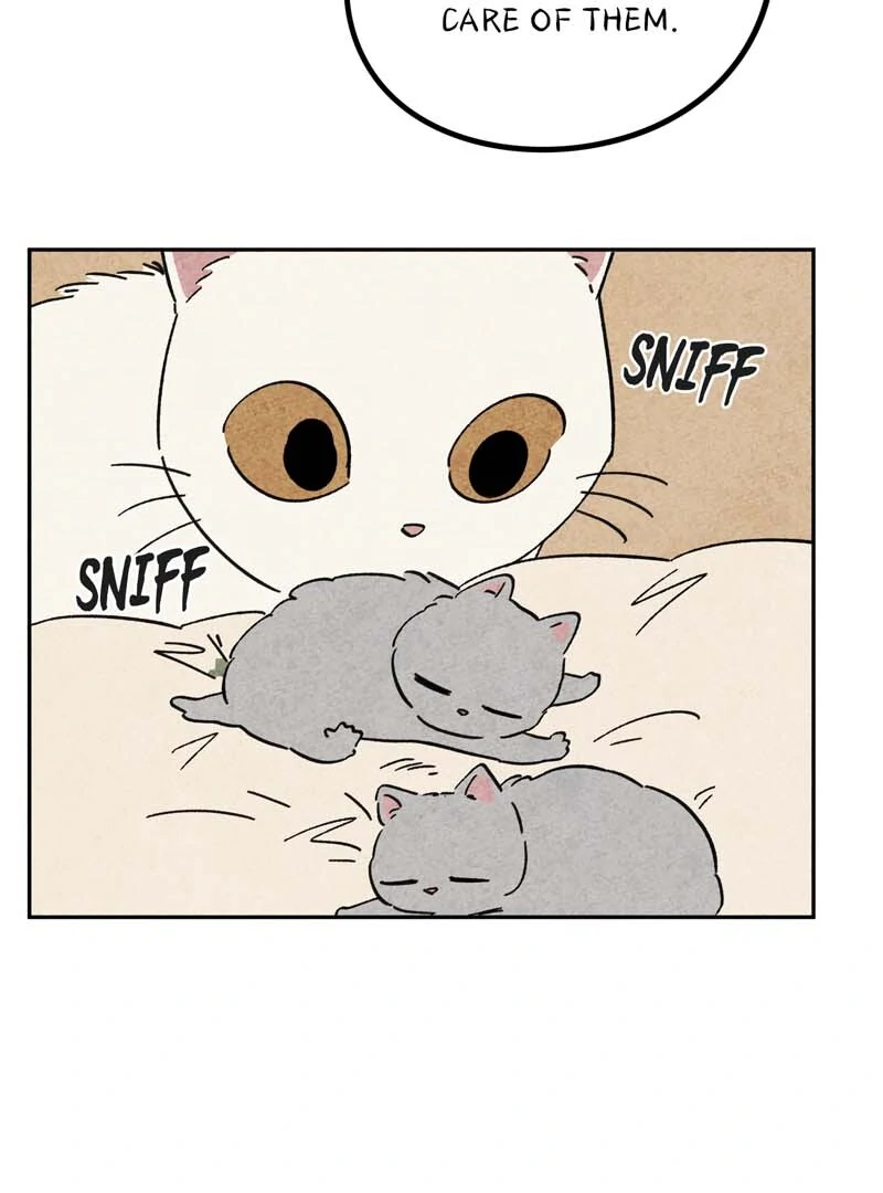 The Tale Of Goldiluck, The Black Kitten Chapter 106 - page 63