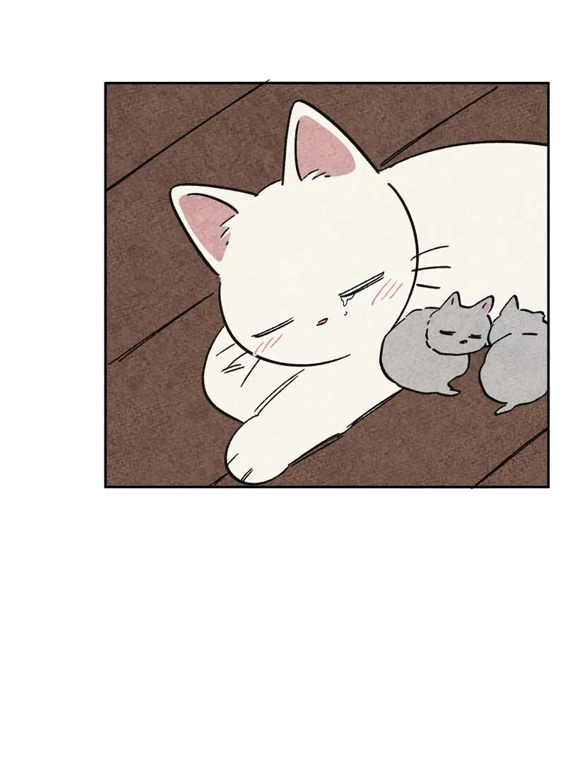 The Tale Of Goldiluck, The Black Kitten Chapter 106 - page 84