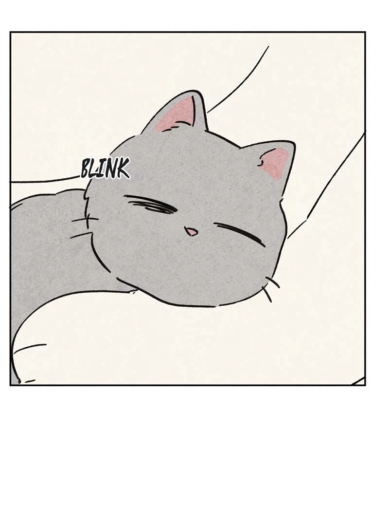 The Tale Of Goldiluck, The Black Kitten Chapter 106 - page 85