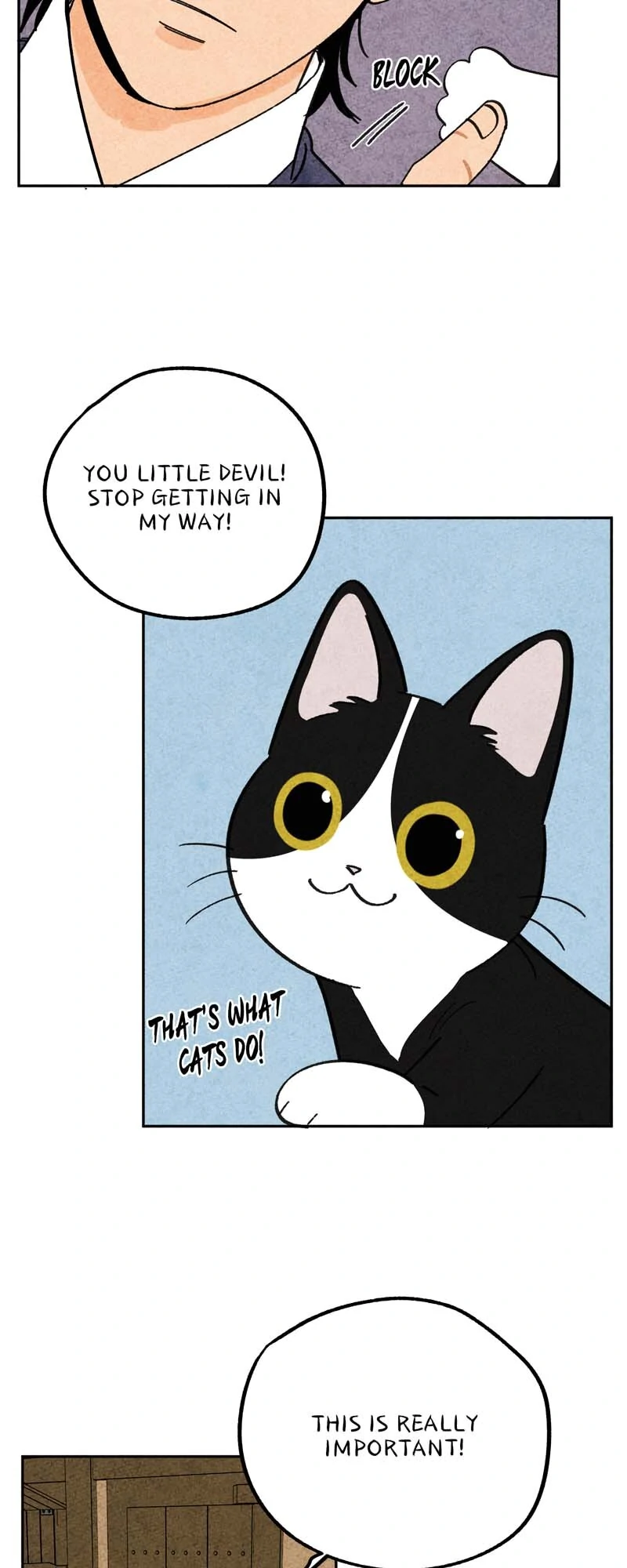 The Tale Of Goldiluck, The Black Kitten Chapter 107 - page 7