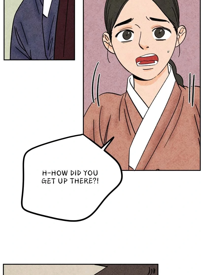 The Tale Of Goldiluck, The Black Kitten Chapter 108 - page 3