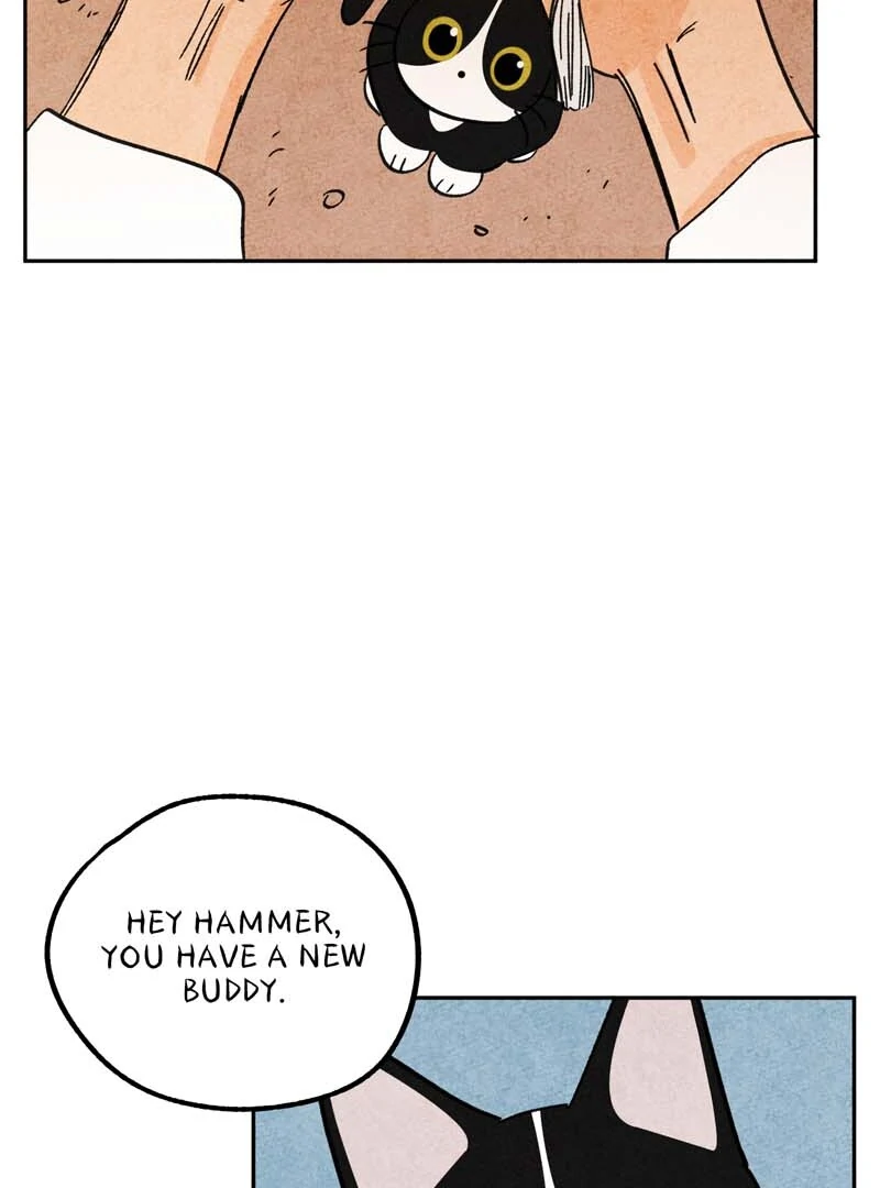The Tale Of Goldiluck, The Black Kitten Chapter 108 - page 48
